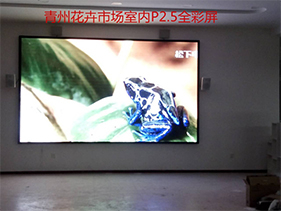 青州花卉交易市场室内P2.5全彩屏